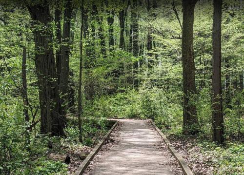 周邊環境, Cliffside Suite #3 - Seacliff Beach Suites in 麗明頓 周邊環境, Cliffside Suite #3 - Seacliff Beach Suites in 麗明頓