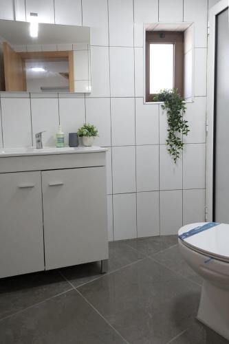 Baño, Casa das Laranjas in Murtosa Baño, Casa das Laranjas in Murtosa