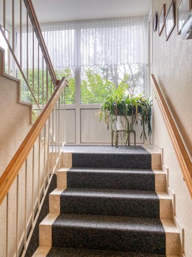 Instalaciones, Hotel Silvana in Sankt Peter-Ording Instalaciones, Hotel Silvana in Sankt Peter-Ording