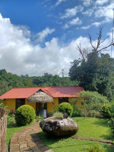 Garden, Iartong Guest House in Pynursla Garden, Iartong Guest House in Pynursla