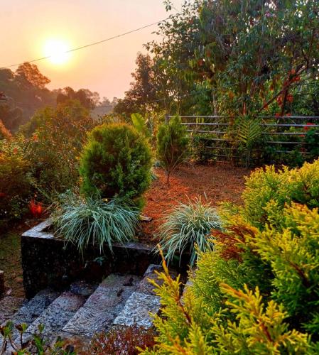 Garden, Iartong Guest House in Pynursla Garden, Iartong Guest House in Pynursla
