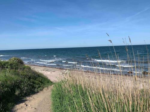 Erholung gesucht Erholung gebucht 800m zum Meer in Fehmarn Erholung gesucht Erholung gebucht 800m zum Meer in Fehmarn