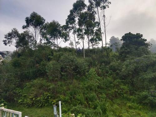 Pavithra cottage munnar in วตานัปปัลลี Pavithra cottage munnar in วตานัปปัลลี