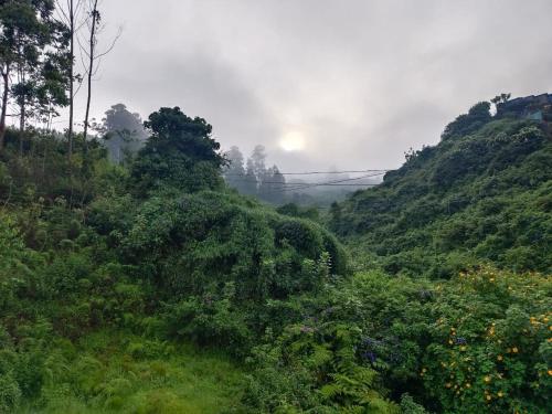 Pavithra cottage munnar in วตานัปปัลลี Pavithra cottage munnar in วตานัปปัลลี
