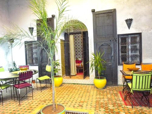设施, 里亚德薄荷逸柚酒店 (Riad Menthe Et Citron) in 梅克内斯 设施, 里亚德薄荷逸柚酒店 (Riad Menthe Et Citron) in 梅克内斯