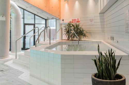 สระว่ายน้ำ, อินเตอร์คอนติเนนตัล โตรอนโต เซ็นเตอร์ บาย ไอเอชจี (InterContinental Toronto Centre By IHG) near หมู่เกาะโตรอนโต สระว่ายน้ำ, อินเตอร์คอนติเนนตัล โตรอนโต เซ็นเตอร์ บาย ไอเอชจี (InterContinental Toronto Centre By IHG) near หมู่เกาะโตรอนโต