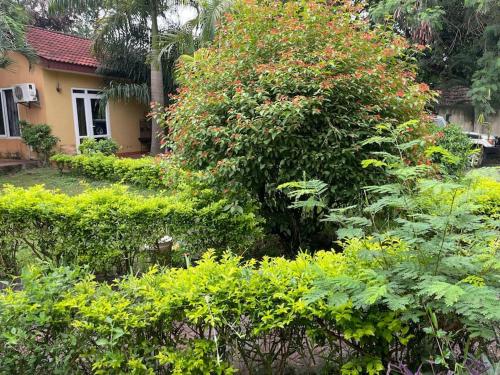 Beautiful 4 bedroom house in Masaki with parking