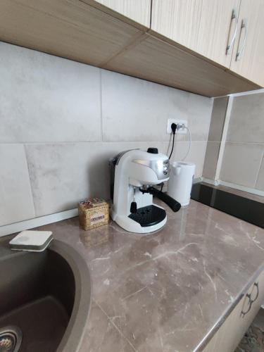 Harmony House in Oradea City Center Harmony House in Oradea City Center