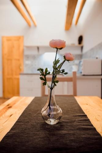 ห้องครัว, Apartmány ve Dvoře (Apartmany ve Dvore) in สวราทัช ห้องครัว, Apartmány ve Dvoře (Apartmany ve Dvore) in สวราทัช