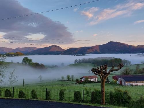 Rodyti, Nun Hobeki in Airport Rodyti, Nun Hobeki in Airport