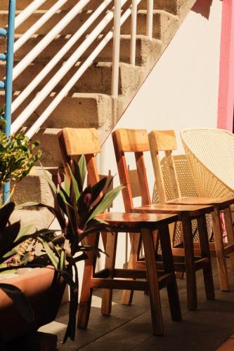 Hostal Chocolate "Calenda" in Oaxaca Hostal Chocolate "Calenda" in Oaxaca