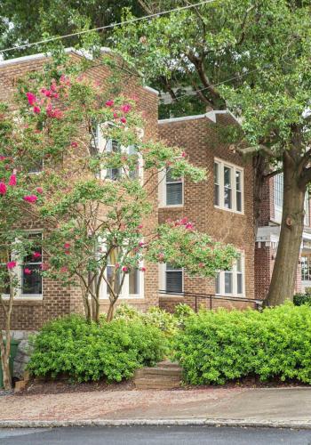 Moretribe in Druid Hills Moretribe in Druid Hills