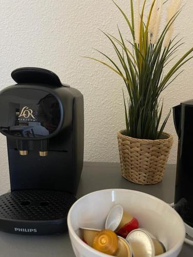 Le Pitchoun - Clim - Piscine in Goudargues Le Pitchoun - Clim - Piscine in Goudargues