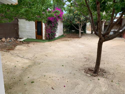 전망, Casa rural lo marqués (Casa rural lo marques) in 오리후엘라 전망, Casa rural lo marqués (Casa rural lo marques) in 오리후엘라