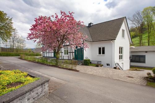 Gut Vasbach Ferienwohnungen in Kirchhundem Gut Vasbach Ferienwohnungen in Kirchhundem