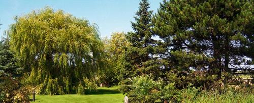 Luxus-Haushaelfte-Alte-Remise-R2 in Waldstrasse Luxus-Haushaelfte-Alte-Remise-R2 in Waldstrasse