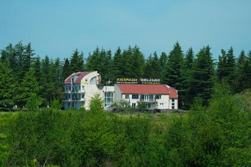 Ympäristö, Hotel Tsiskari in Ianet'I Ympäristö, Hotel Tsiskari in Ianet'I