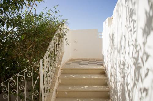 La Vague de Jasmin in 가베스 La Vague de Jasmin in 가베스