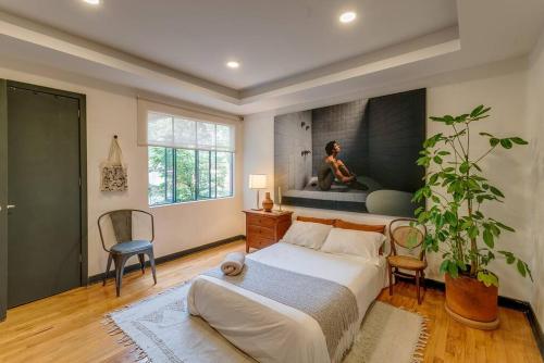 Cozy apartment heart of Condesa.