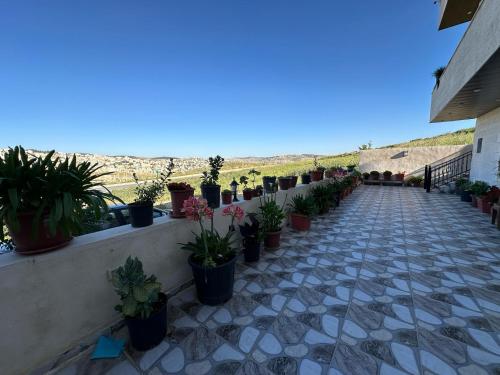 Buitenkant, Jerash City View in Jerash Buitenkant, Jerash City View in Jerash