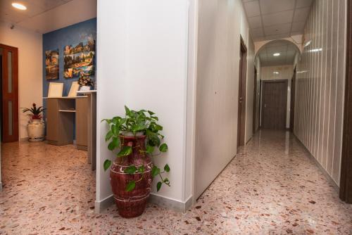 Hotel Baia Verde in Maiori Hotel Baia Verde in Maiori