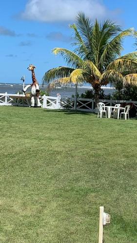 Surrounding environment, Mansao das Dunas Salles in Estância Surrounding environment, Mansao das Dunas Salles in Estância