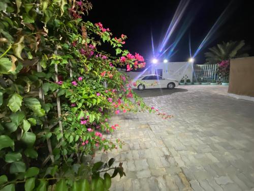 Farmhouse One Bedroom Attached Bathroom in Al Bahya Farmhouse One Bedroom Attached Bathroom in Al Bahya