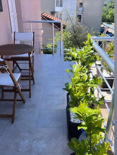 Apartman Scepanovic in Niksic Apartman Scepanovic in Niksic
