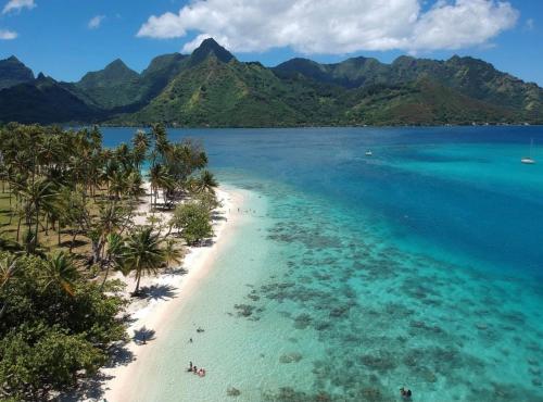 Faré Paloma Moorea (Fare Paloma Moorea) in Nu'urua Faré Paloma Moorea (Fare Paloma Moorea) in Nu'urua