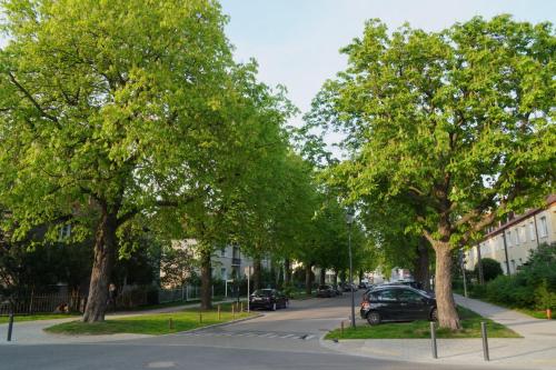 Vista, Przytulne Poddasze w Gdańsku (Przytulne Poddasze w Gdansku) in Strzyza Vista, Przytulne Poddasze w Gdańsku (Przytulne Poddasze w Gdansku) in Strzyza