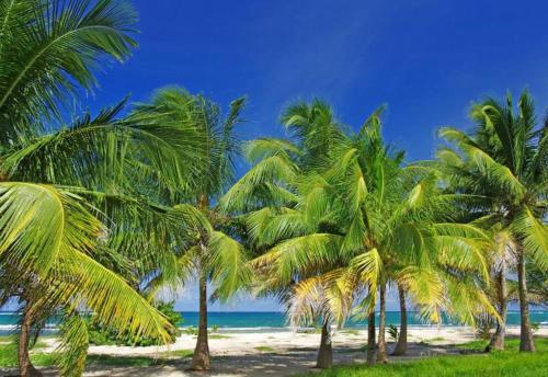 Studio cosy climatise vue mer a 2 min de la plage in Le Moule Studio cosy climatise vue mer a 2 min de la plage in Le Moule