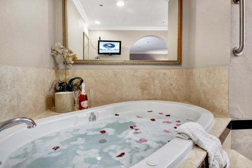 مرافق, Best Western Plus Marina Shores Hotel in Dana Point مرافق, Best Western Plus Marina Shores Hotel in Dana Point