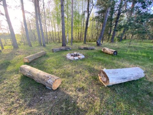 Forest springs. Family vacation tennis beach sauna in Trakai Forest springs. Family vacation tennis beach sauna in Trakai