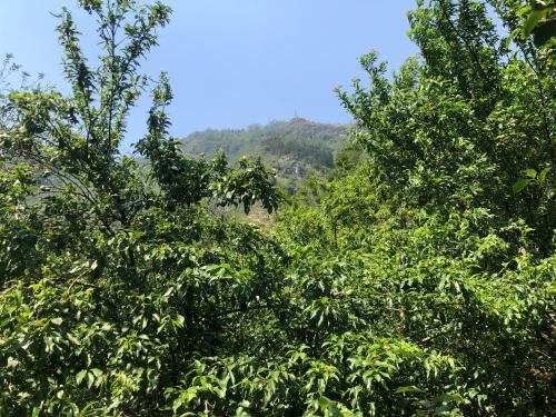 `Sin Chai Homestay near Fansipan Mountain `Sin Chai Homestay near Fansipan Mountain