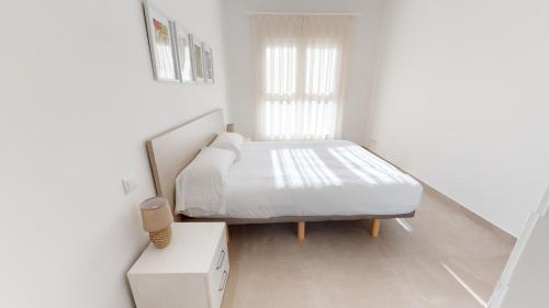 Palmetto by Oliva Nova