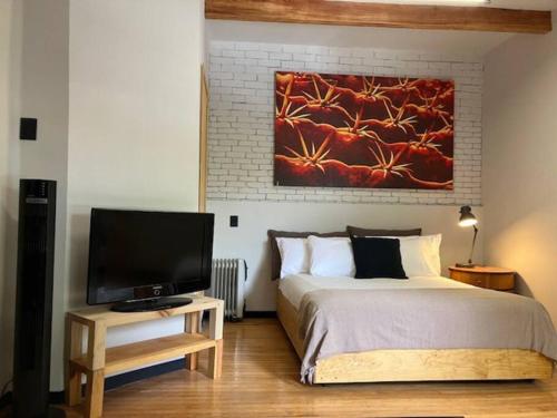 Coyoacan historico, museo Frida.