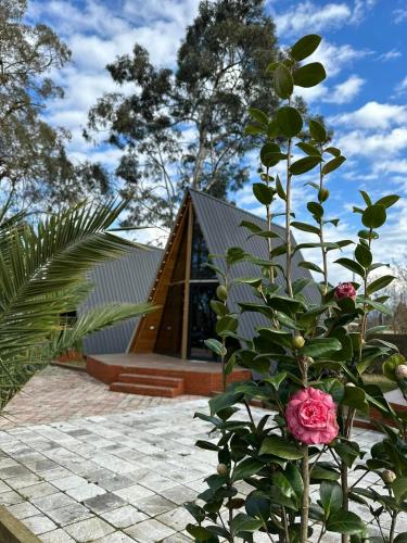 Näkymä, Eucalyptus Cottages in Chakvi Näkymä, Eucalyptus Cottages in Chakvi