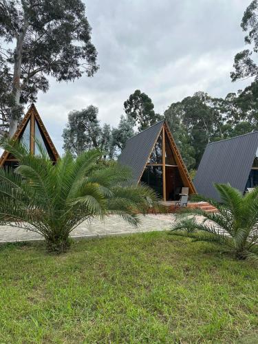Ympäristö, Eucalyptus Cottages in Chakvi Ympäristö, Eucalyptus Cottages in Chakvi