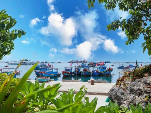 Attrazioni nelle vicinanze, Hoa Bien Motel in Ly Son Attrazioni nelle vicinanze, Hoa Bien Motel in Ly Son