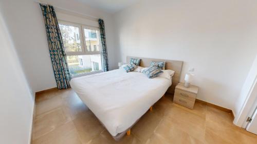 Licuala by Oliva Nova