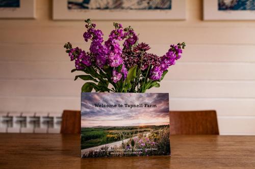 Poachers Perch At Tapnell Farm in West Wight Poachers Perch At Tapnell Farm in West Wight