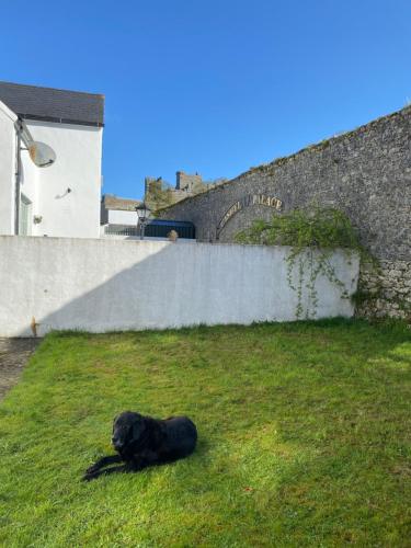 Вид, Cashel Cottage in Кашел Вид, Cashel Cottage in Кашел