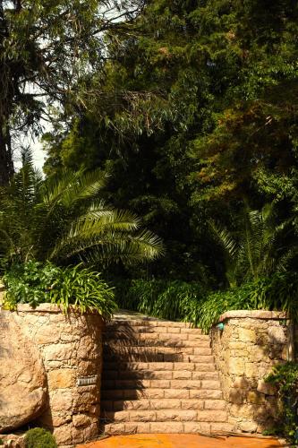 ทัศนียภาพ, Pool House at Entre Rochas in มัลเวย์รา ดา เซร์รา ทัศนียภาพ, Pool House at Entre Rochas in มัลเวย์รา ดา เซร์รา