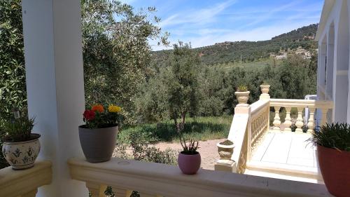Terraza/balcón, Domaine des Sloughis in Moulay Idriss Terraza/balcón, Domaine des Sloughis in Moulay Idriss