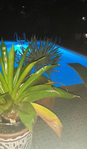 Fredic'lodge in Matoury Fredic'lodge in Matoury