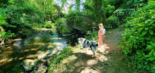 Maison Esprit Nature - Puy du Fou in Saint Laurent Sur Sevre Maison Esprit Nature - Puy du Fou in Saint Laurent Sur Sevre
