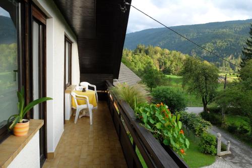 Балкон, Apartment Milena in Номень Балкон, Apartment Milena in Номень