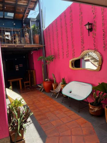 Hostal Chocolate "Calenda" in Oaxaca Hostal Chocolate "Calenda" in Oaxaca