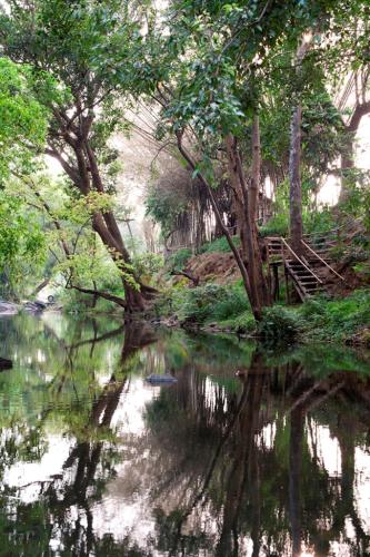 Amanvana Spa Resort, Coorg