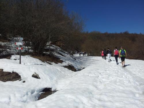 This photo about Residence Cimone shared on HyHotel.com